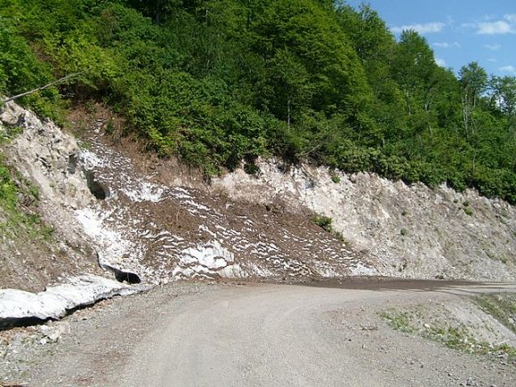 Yesillerin altinda kar ve üzerinde toprak var.