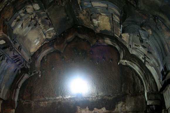 Gwalior Kalesi'nde Man Singh Sarayı'nın içindeki odalardan birinde onlarca yarasa vardı.