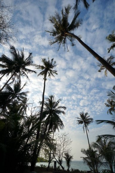 Ko Mak, Tayland
